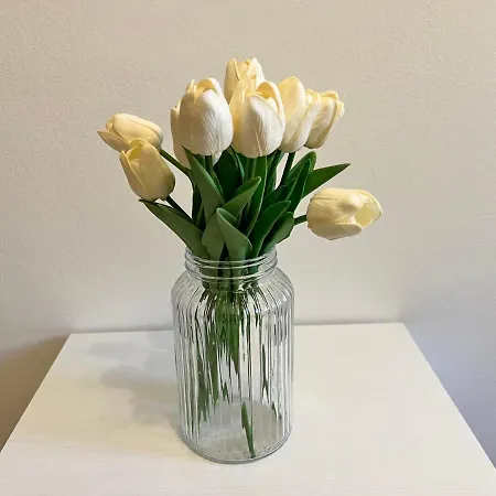 All'ombra Del Carmine Lejlighed Padova