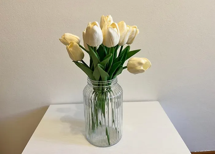 All'ombra Del Carmine Apartman Padova